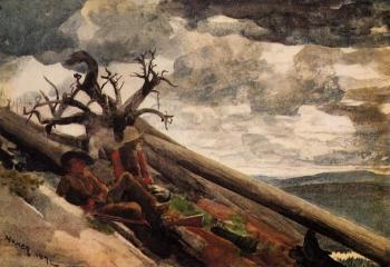 Winslow Homer : Burnt Mountain